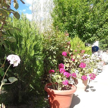 Yourdum Guest House Hundar Esterno foto